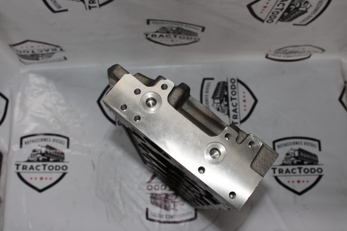 Cabeza C 6.6