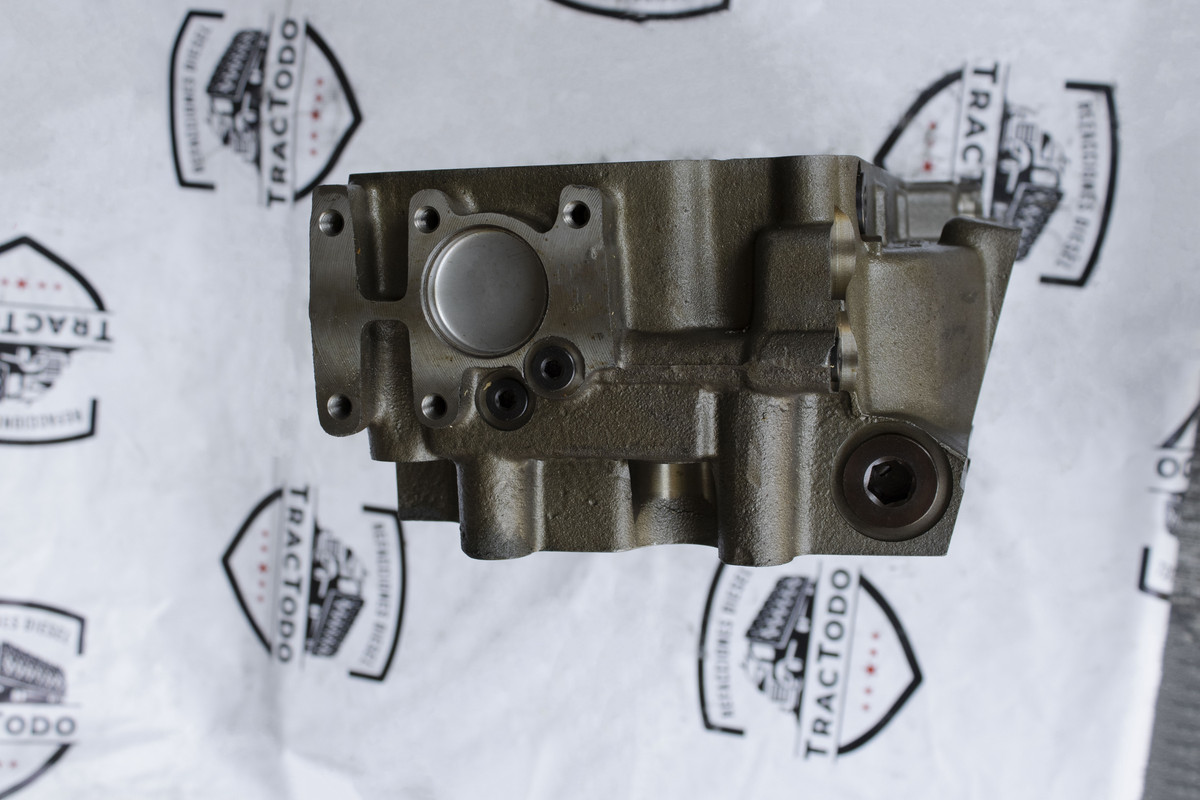 Cabeza 3126B
